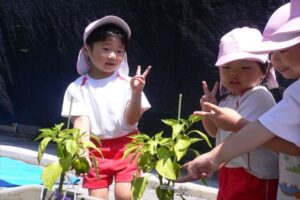 皆で育てたピーマンが…？👀(星組)